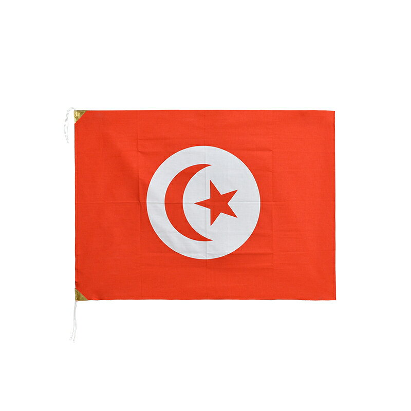 旧チュニジア 国旗 (1957-1999年) 70×100cm 木綿製 日本製 旧国旗掘り出し物シリーズ