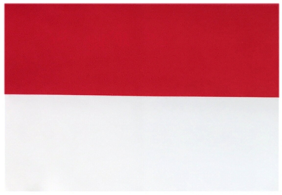 TOSPA 世界の国旗 ミニタオル ハンドタオル インドネシア国旗柄 （素早い吸水 速乾のマイクロファイバー生地）ミニメガネ拭き スマホ タブレット レンズクリーナークロス 1