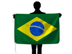 ブラジル 国旗 70×105cm テトロン製 日本製 世界の国旗シリーズ