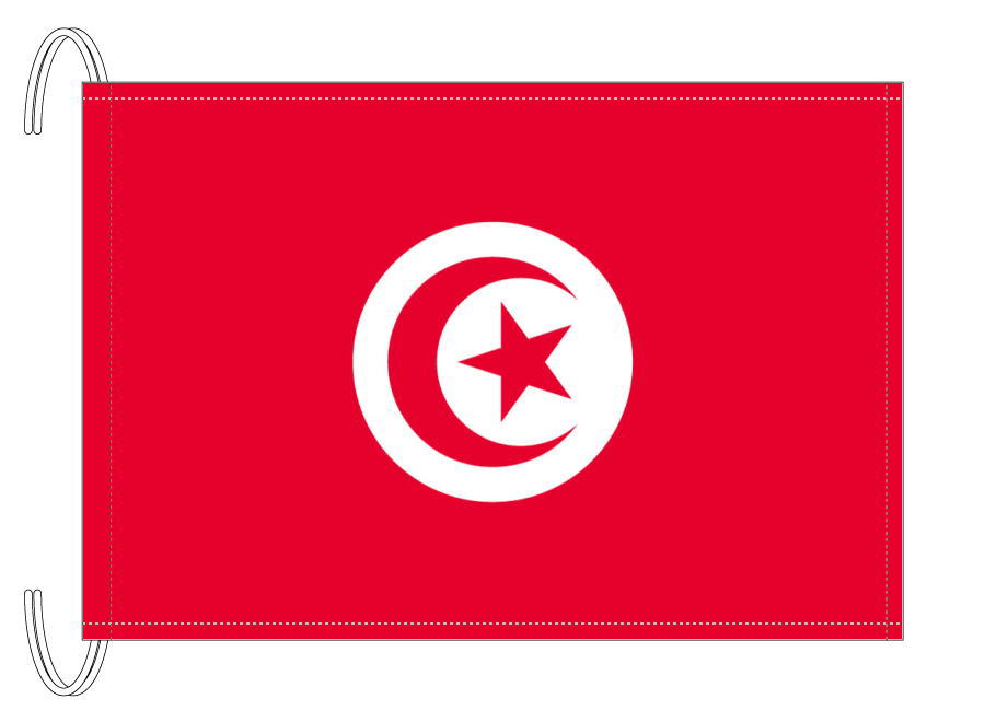 TOSPA チュニジア 国旗 Mサイズ 34×50cm テトロン製 日本製 世界の国旗シリーズ