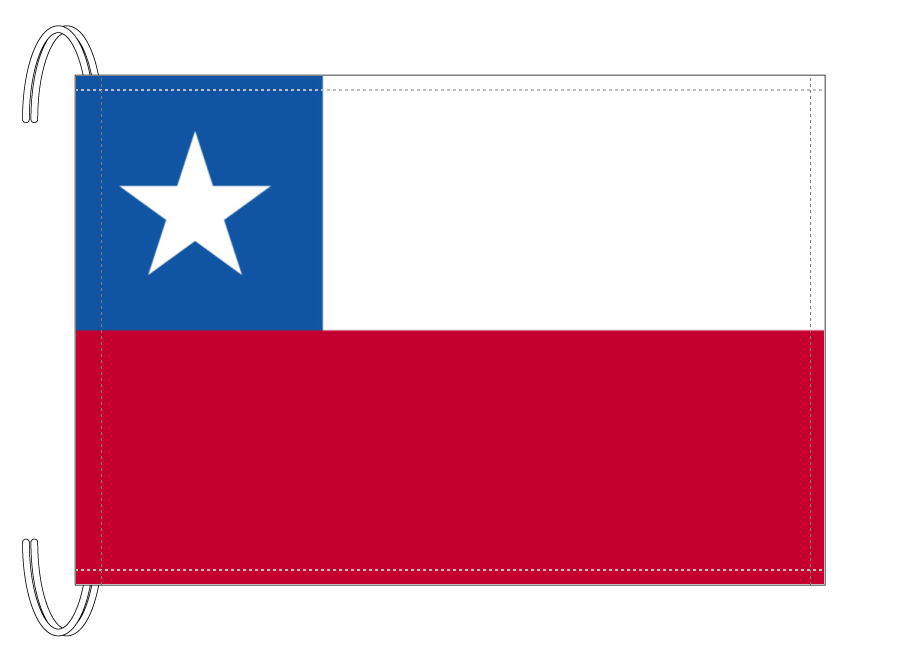 TOSPA チリ 国旗 Mサイズ 34×50cm テトロン製 日本製 世界の国旗シリーズ