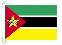 TOSPA モザンビーク 国旗 Mサイズ 34×50cm テトロン製 日本製 世界の国旗シリーズ