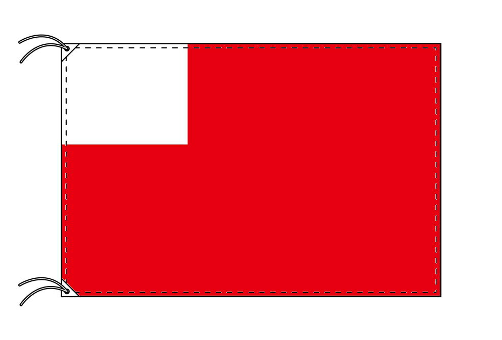 TOSPA アブダビ 国旗 アラブ首長国連邦 UAE 構成国 首長国 90×135cm テトロン製 日本製 世界の旧国旗 世界の組織旗シリーズ