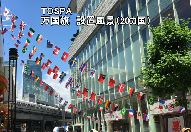 TOSPA 連続万国旗 20カ国 Sサイズ 25×37.5cm 全長約15m テトロン製 日本製 3