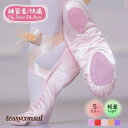 バレエ サテン生地 練習用 ダンス シューズ 子供用 大人用 靴 レッスン 発表会 衣装 キッズ ジュニア 女の子 受験 撮影 高校生 宝塚 音楽学校 プレゼン...