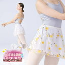 バレエ スカート レディース 大人 シフォン 社交ダンス レッスン着 練習着 ジュニア ステージ衣装 ダンス衣装 新体操 発表会 柔らか 可愛い プレゼント ギフト 新生活