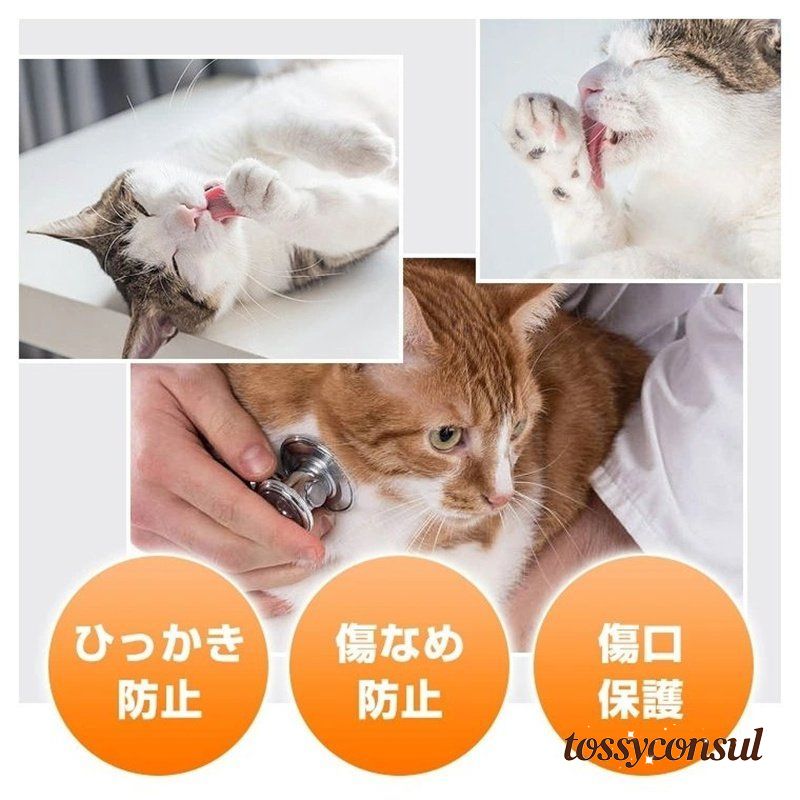 ���ꥶ�٥����顼 ǭ �� ���� ���ꥶ�٥� ������Ĵ��� ���� �դ�դ� ���å���� ���� ���ե� �ɡ��ʥ� �ݷ� �ͥ� �ͤ� ���� ���� �ڥå����� ������