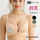 マタニティブラ 授乳ブラ ノンワイヤー レース 前開き 産前産後 ブラジャー ハーフトップ ナイトブラ 妊娠 妊婦 育乳 インナー 美胸 出産準備 プレゼント ...