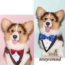 ペット用スタイ 小型犬 猫 首飾り チョーカー 三角巾 小型犬 中型犬 アクセサリー おしゃれ フリル レース おめかし 写真撮り道具 記念日フォト ゴージャス...