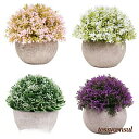 観葉植物 4点セット ミニ 光触媒人工植物 造花 高さ12cm インテリアグリーン ミニ観葉植物 おしゃれ 鉢 フェイクグリーン 人工観葉植物 造花 インテリア お世話不要 プレゼント 引っ越し祝 新築祝 かわいい 母の日 新生活
