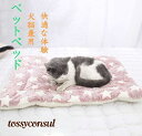 ペット用クッション ブランケット 7柄 犬猫兼用おふとん ざぶとん 敷布団 ペットベッド 犬用 猫用 いぬ ねこ お昼寝 老犬 介護 寝具 毛布 キャンプ用品 ソフト 柔らかい おもちゃ かわいい ペット雑貨 安心感 多様選択 新生活