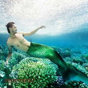 男女兼用 水族館演出用 水着 レディース 人魚姫 コスチューム マーメイド セパレートビーチ コスプレ 人魚姫 サイズ指定可 セクシー ハロウィン 仮装 水着 記念撮影 写真撮影用 プレゼント ギフト 新生活