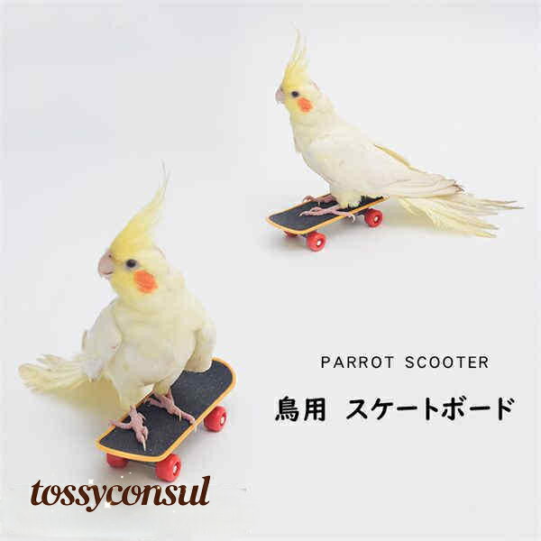 スケートボード 鳥用 2点セット 中型 インコ オウム 鳥用品 ペット 鳥 爪とぎ おもちゃ 立て 知育 玩具 訓練玩具 ストレス解消 運動不足解消 プレゼント...