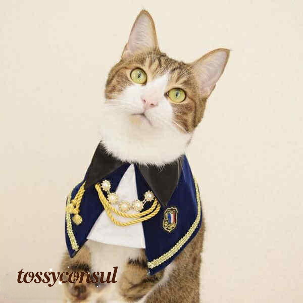 ペット用涎掛け 犬 猫 首飾り リボン レース チョーカー アクセサリー かっこいい おしゃれ フリル おめかし 写真撮り道具 記念日フォト 可愛い ペット用品...