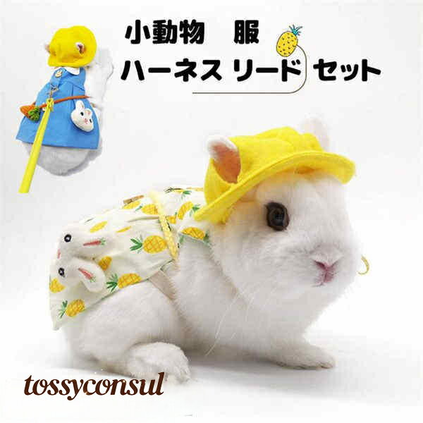 ハーネス リード 服 セット ウサギ 小動物 脱出防止 胴輪 散歩 お出かけ 写真撮り 道具 果物デザイン ..