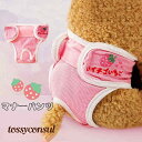 犬用 サニタリーパンツ マナーパンツ 2点セット 4color 生理用 マナーウェア 避妊 介護 しつけ用品 おむつカバー 下着 ケア用品 犬用術後ウェア お散...