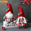 「2タイプ」オーナメントデー ぬいぐるみ人形 装飾品オーナメント ルドルフ置物 ドワーフクリスマスツリー飾り ホリデーホームパーティーの装飾 ミニドール サンタクロース おもちゃ 3D立体感 フィギュア 北欧 サンタ 妖精 ドワー