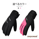 スキー手袋 スキーグローブ スキー グローブ スノボ スノボー 手袋 防寒 防風 ウィンタースポーツ 防水 スキー用品 メンズ レディース プレゼント ギフト