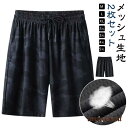 メッシュ メンズ 冷感 夏 ショートパンツ ゆったり アイスシルクパンツ 【2枚セット】ハーフパンツ 半ズボン ドライ 通気性 5分丈 無地 スポーツ プレゼント ギフト 新生活