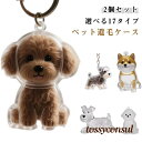 ペット 遺毛 ケース 透明 ペット 遺毛入れ キーホルダー 猫 犬の毛収納ボトル ペットメモリアルボトル 犬のキーホルダー 猫のキーホルダー 抜け毛収 プレゼン...