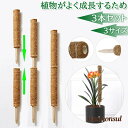 【】3本セット ココスティック モンステラ 支柱 ココナッツ おしゃれ 園芸支柱 ポトス 植物支柱 ガーデン 蔓 花ささえ 連結 延長 木製 ココナッツ支柱 支...