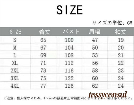 セットアップ メンズ 夏 半袖 上下セット サマー 短パン 薄手 接触冷感 涼しい 旅行 学生 ゆったり シャツ トップス