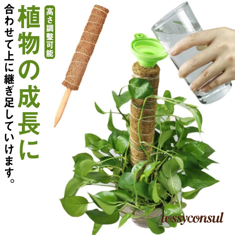 2個組 園芸支柱パー ココスティック モンステラ支柱 観葉植物 支柱 園芸支柱 ココナッツ支柱 植物サポ..