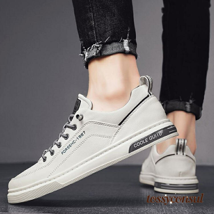    ˡ  ư ץ  Ż 塼 ̳ ۥ磻 ̶ 奢 ع ڤ