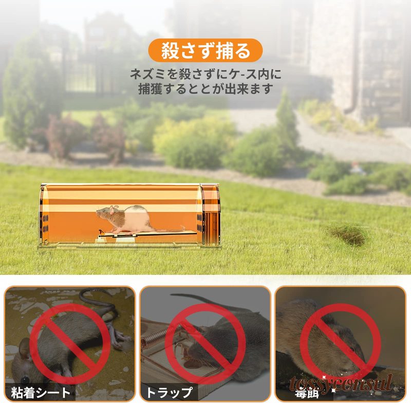 �ͥ������ �ͤ��ߤȤ� Ƨ���ļ� �ͥ������ �ͤ��߶�� ���� �����ͥ������� �ͥ�����ʹ� �ޥ����ȥ�å� ��ʹ� �ͥ������� �ͤ��߶�� �ͤ��� �ϥĥ��ͥ��� ��ñ���� �����Ѳ�ǽ ���� �ץ饹���å��� �ͥ��߼�ꥫ�� ���������