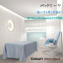 サロン ベッド カバー マッサージ シーツ エステベッド サロン 有孔 290×180cm 呼吸穴付き ベッド シーツ 通気性 マッサージベッドカバー 無地 マットレス カバー 洗える マッサージ 美容 エステ用 サロン用 ホテル 美肌 SPA 春夏 防臭