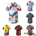 アロハシャツ メンズ 和柄 アロハ 半袖tシャツ 春夏 夏シャツ シャツ メンズ 半袖 トップス 総柄 プリント柄 オーバーサイズ Vネック ゆったり 大きいサ...