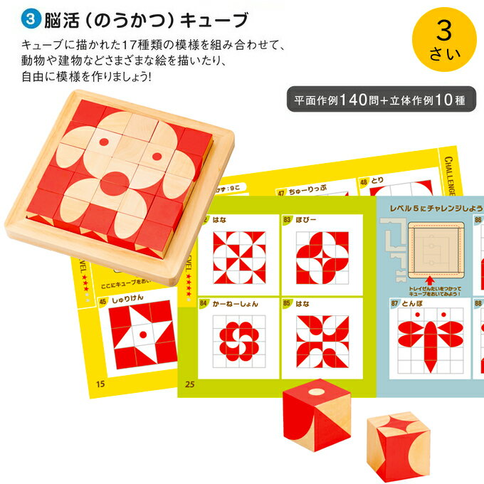 エドインター 脳活キューブ パズル 知育玩具 3歳 おもちゃ Ed. Inter 立体 平面 絵合わせ 脳トレ 木製 誕生日 入園 出産祝い 節句 クリスマスプレゼント ギフト グッドトイ受賞 男の子 女の子 子供