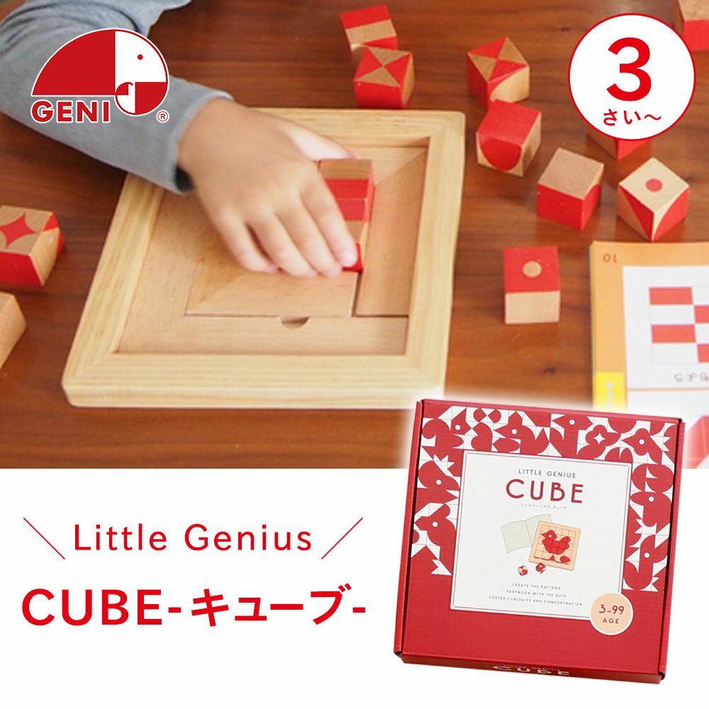 エドインター キューブ CUBE 3歳 知育玩具 おもちゃ Ed. Inter 脳活 木製玩具 おもちゃ Ed. Inter 形 図形 プレゼント ギフト 誕生日 クリスマスプレゼント 男の子 女の子 子供【L】