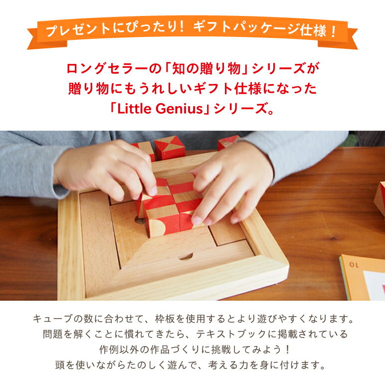 エドインター キューブ CUBE 3歳 知育玩具 おもちゃ Ed. Inter 脳活 木製玩具 おもちゃ Ed. Inter 形 図形 プレゼント ギフト 誕生日 クリスマスプレゼント 男の子 女の子 子供【L】