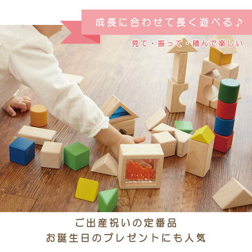 エドインター 積み木 デザインつみき 木のおもちゃ 1歳半 2歳 3歳 室内 遊び おもちゃ Ed. Inter 知育玩具 森のあそび道具 積木 引き車 木製 女の子 男の子 誕生日 節句 入園 クリスマス プレゼント ギフト 出産祝い 806395