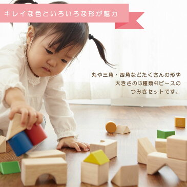 エドインター 積み木 デザインつみき 木のおもちゃ 1歳半 2歳 3歳 室内 遊び おもちゃ Ed. Inter 知育玩具 森のあそび道具 積木 引き車 木製 女の子 男の子 誕生日 節句 入園 クリスマス プレゼント ギフト 出産祝い 806395