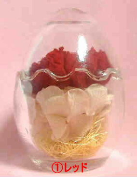 楽天ガラスエッグカーネーション<ガラスケース入り>