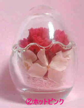 楽天ガラスエッグカーネーション<ガラスケース入り>