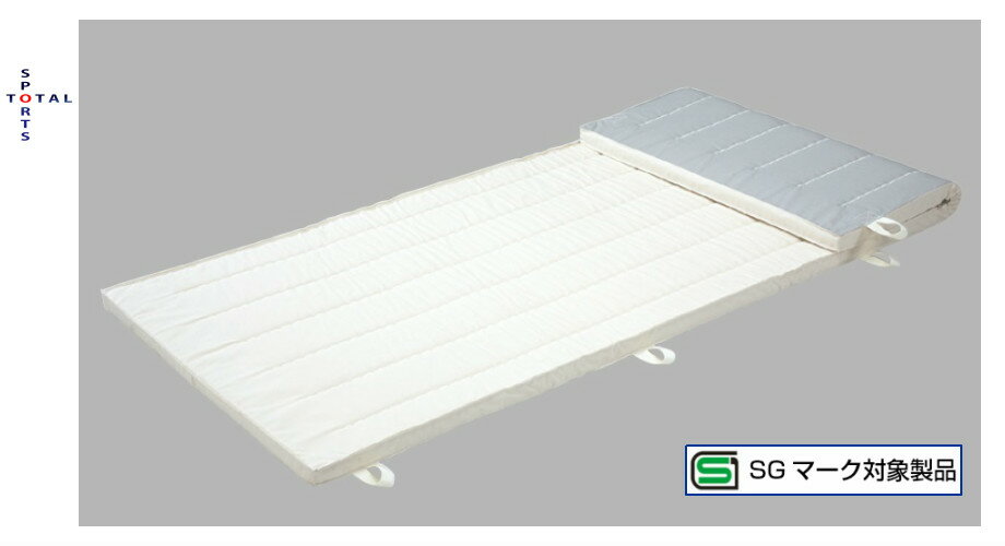 SHIMODA.MAT 下田マット オール合成スポンジマット 6cm厚(ノンスリップタイプ)SG-654 90×180 帆布:6 体操マット スポンジマット 体...