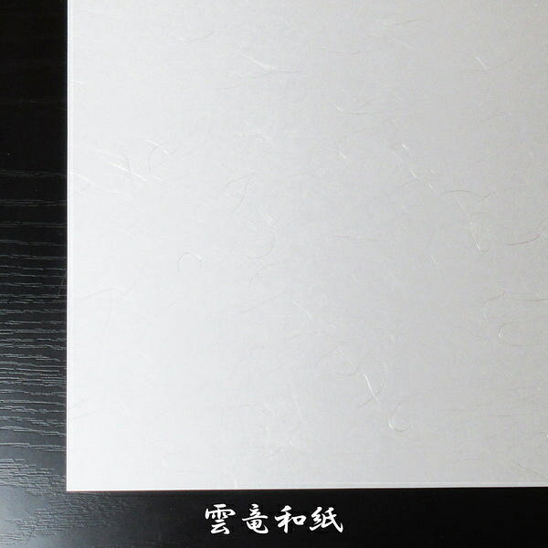 箸置雲竜和紙マット　ほおずき　192-20064(Z121-282)テーブルマット ランチョンマ...