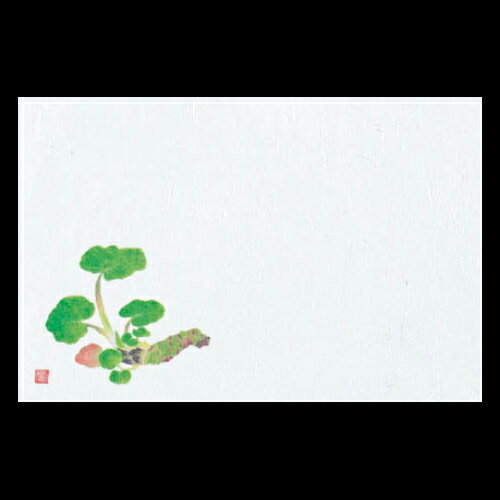 尺5雲竜和紙マット わさび(オールシーズン)【192-30010(Z124)】テーブルマット ランチョンマット 紙マ..