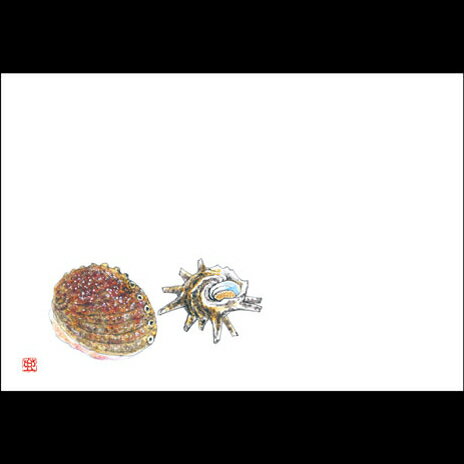 38cm上質紙マット　サザエとアワビ　201-10076(Z102-174)テーブルマット ランチョンマット 紙マット 紙..