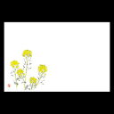 38cm上質紙マット 菜の花 201-10128(Z103-178)テーブルマット ランチョンマット 紙マット 紙製 ペーパー ペーパーマット 日本製 38×26cm 100枚入 使い捨て 使い捨てマット 和風 おしゃれ 和食 料亭 旅館 レストラン カフェ ホテル 飲食店 業務用