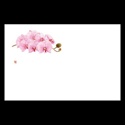 38cm上質紙マット　らん　201-10101(Z103-167)テーブルマット ランチョンマット 紙 紙製 ペーパー 業務用 和食 オールシーズン