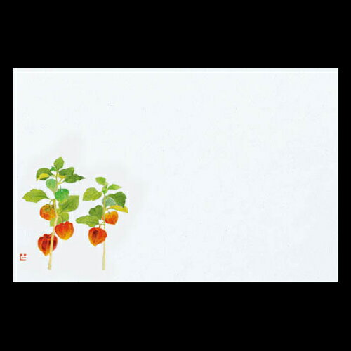 商品情報サイズ38×26cm枚数100枚入り素材無蛍光モニターの発色具合により、実際のものと色が異なる場合がございます。38cm上質紙マット　ほおずき　201-10193(Z105-239)テーブルマット ランチョンマット 紙 紙製 ペーパ...