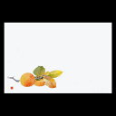 38cm上質紙マット 柿 201-10221(Z106-294)テーブルマット ランチョンマット 紙マット 紙製 ペーパー ペーパーマット 日本製 38×26cm 100枚入 使い捨て 使い捨てマット 和風 おしゃれ 和食 料亭 旅館 レストラン カフェ ホテル 飲食店 業務用