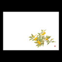 38cm上質紙マット キンカン 201-10240(Z107-401)テーブルマット ランチョンマット 紙マット 紙製 ペーパー ペーパーマット 日本製 38×26cm 100枚入 使い捨て 使い捨てマット 和風 おしゃれ 和食 料亭 旅館 レストラン カフェ ホテル 飲食店 業務用