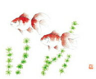上質紙13cm長角マット　金魚　201-20125(Z111-402)テーブルマット ランチョンマッ...