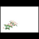 尺3雲竜和紙マット 花水木 192-10048(Z117-412)テーブルマット ランチョンマット 紙マット 紙製 ペーパーマット 雲竜紙 38×26cm 日本製 100枚入 使い捨て 使い捨てマット 和風 おしゃれ 和食 料亭 旅館 レストラン カフェ ホテル 飲食店 業務用