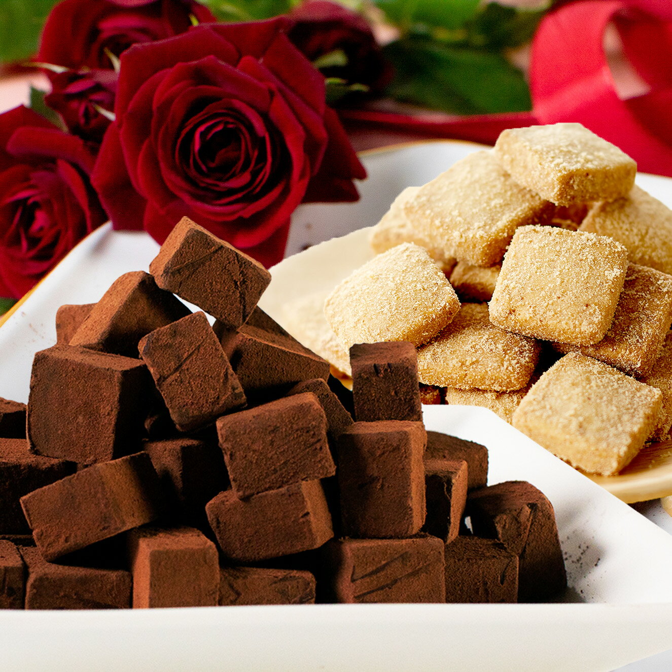 送料無料★濃厚生チョコレート&ほろさくクッキーセット